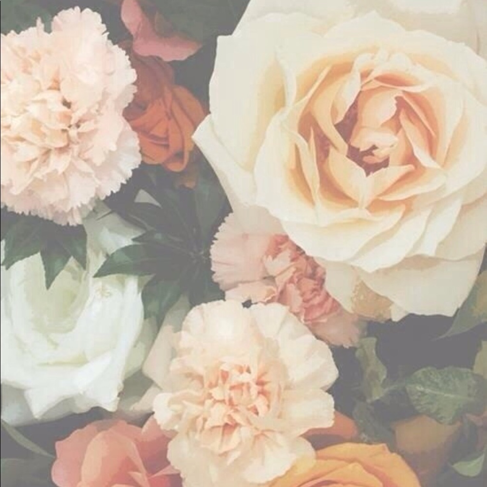 Meet your Posher, Alicia